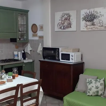 La Tartaruga Spiaggiata - Bilocale A Pochi Metri Dalla Apartment *